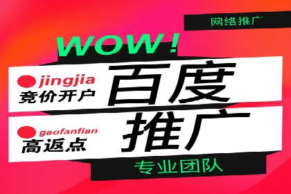 百度SEM竞价案例：揭秘高效广告投放策略